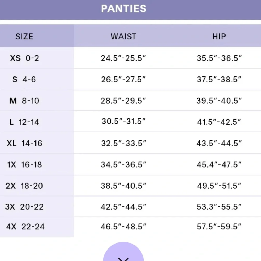 Savage X Fenty Mesh Crotchless High Leg Bikini Panty Icy Leopard Purple Lavender